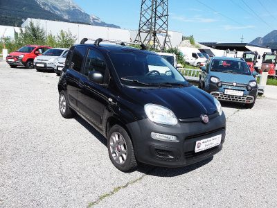 Fiat Panda 4×4  VAN 1,3 Multijet II 80 bei Autohaus Heinz in 