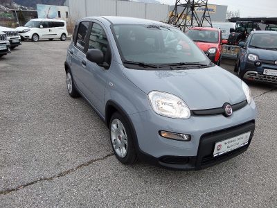 Fiat Panda 1,0 FireFly Hybrid 70 Hybrid !! Ab 149.- MTL bei Autohaus Heinz in 