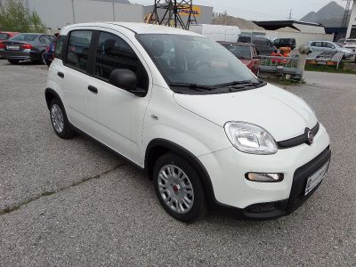 Fiat Panda 1,0 FireFly Hybrid 70 Hybrid!! Ab 159.- MTL bei Autohaus Heinz in 